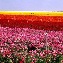 科幻动作冒险新游《深渊末日》公布 Epic发行